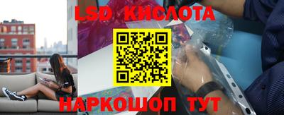прущие грибы Славгород