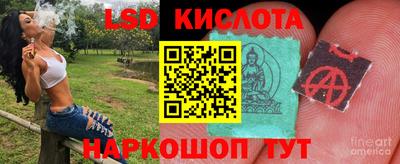 прущие грибы Славгород