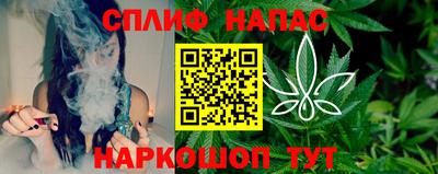 прущие грибы Славгород